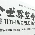 Marios Stefanou 11th World Open Karate Championship